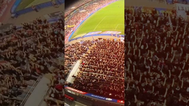 Трибуна А –💪🔴🔵 смотреть онлайн