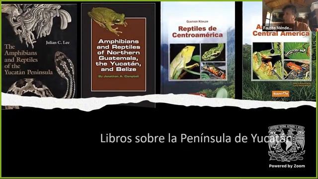 Presentación del "Catálogo de reptiles de la península de Yucatán" смотреть онлайн