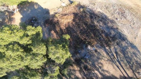 Freak (The Otherside Series, Vol.2)