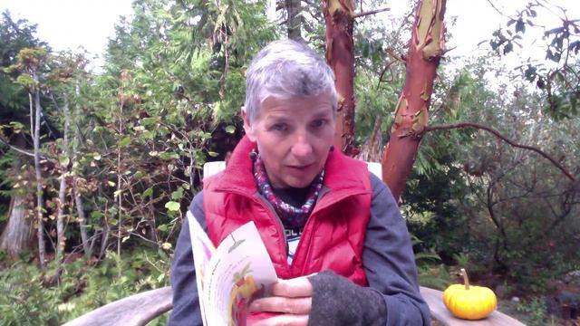 The Bookstore Burglar by Barbara Maitland, 2001, read by Denise Bonin смотреть онлайн