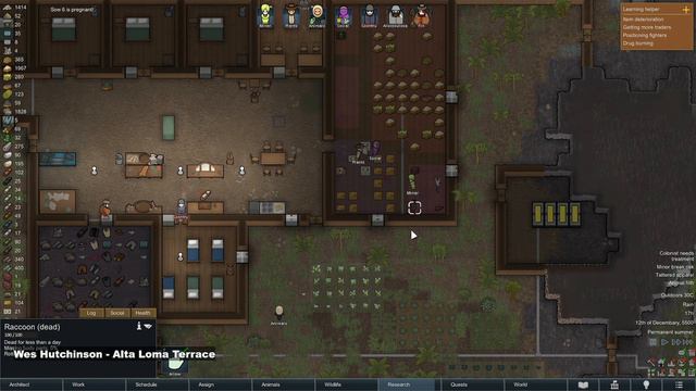 #13 RimWorld 1 3 the legendary pig ranchers – No Commentary – смотреть онлайн