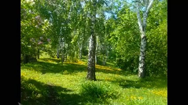 Helena Majdaniec - Rudy rydz смотреть онлайн