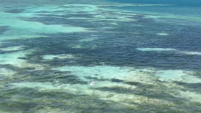 Dolok Oan - Dili смотреть онлайн