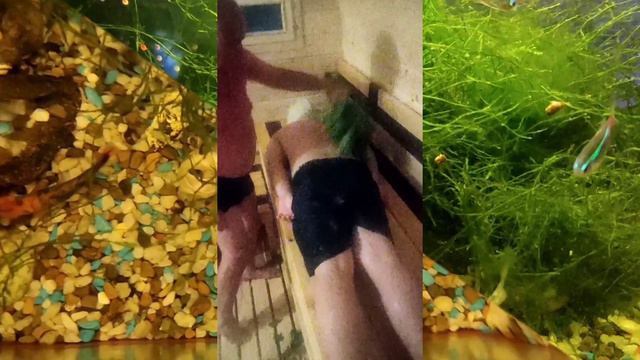 автопутешествия