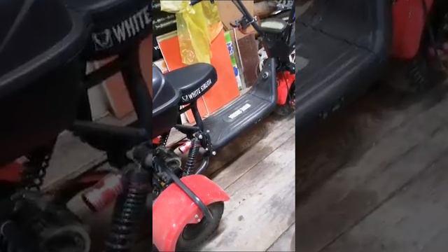 Отзыв клиента на электротрицикл WHITE SIBERIA TRIKE MINI 1500W смотреть онлайн