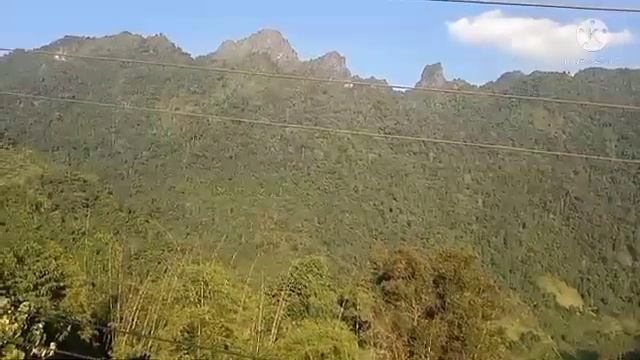 hnub no vas thib 1 lub 11 hli ntuj xyoo 2021 kuv yuav coj nej nrog wb mu saib ntoo txiav taws naw смотреть онлайн