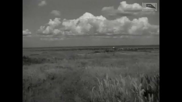 Освобождённая земля (1946) смотреть онлайн