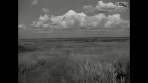 Освобождённая земля (1946)