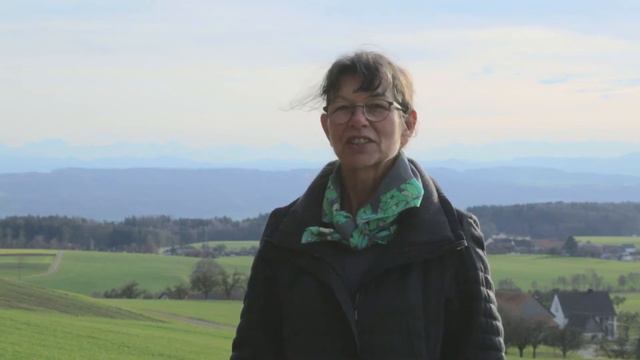 Marianne Guhl Gsell: SP Wahlspot 2016 смотреть онлайн