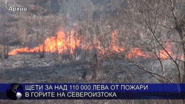 Щети за над 110 000 лева от пожари в горите на Североизтока смотреть онлайн