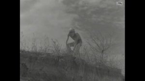 Тимур и его команда (1940)