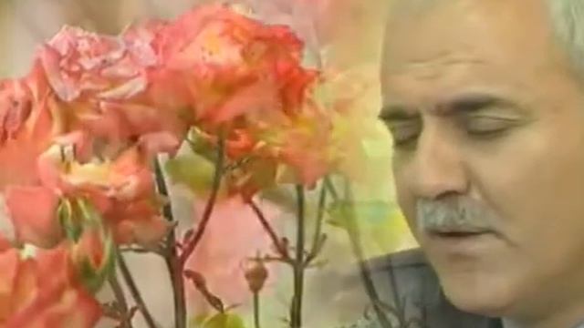 Hz.Musab Bin Umeyr (Radıyallahu Anh) Nihat Hatipoğlu смотреть онлайн
