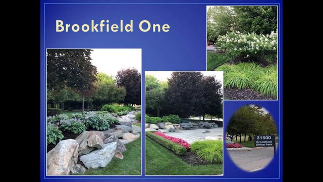 2019 Beautification Awards Farmington Hills смотреть онлайн