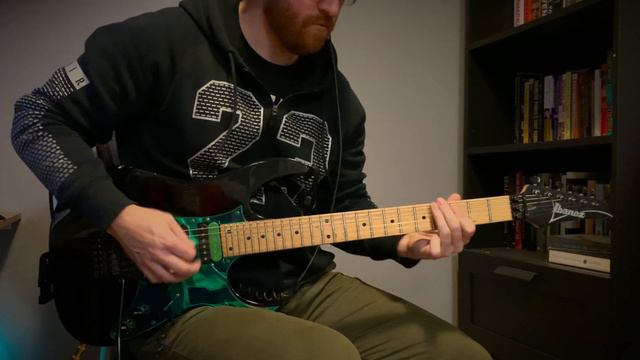 The Animal - Steve Vai (cover) смотреть онлайн