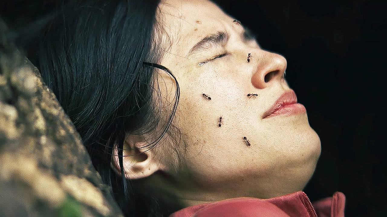 Замри — Русский трейлер (Дубляж, 2024) смотреть онлайн