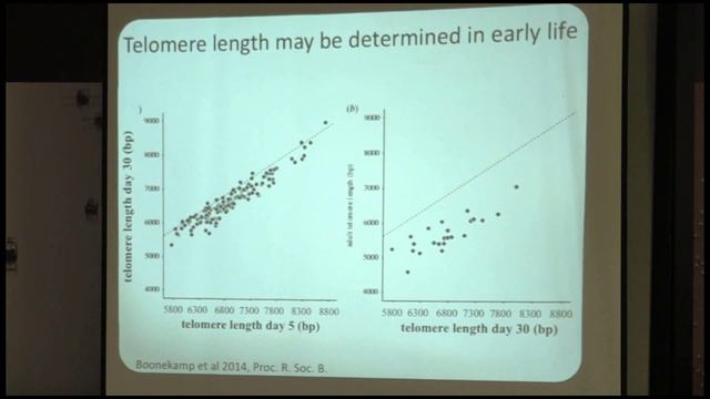 Seminarios EBD, Simon Verhulst, 18/01/2018 смотреть онлайн