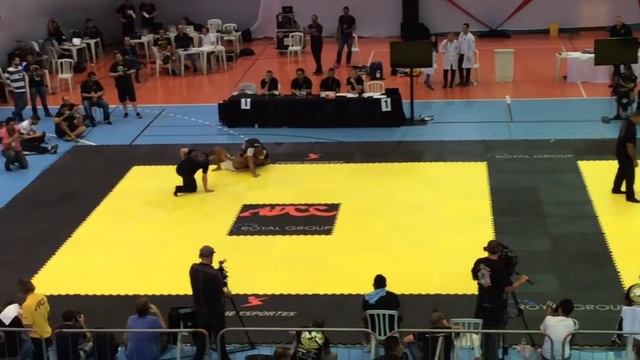 Rodolfo Vieira vs Ben Henderson ADCC 2015 смотреть онлайн