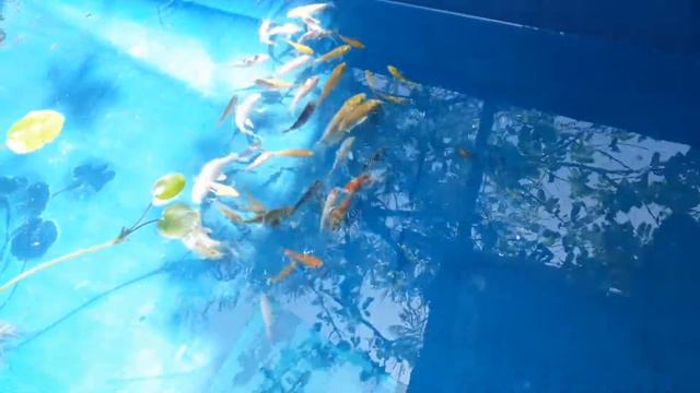 13 May 2021 смотреть онлайн