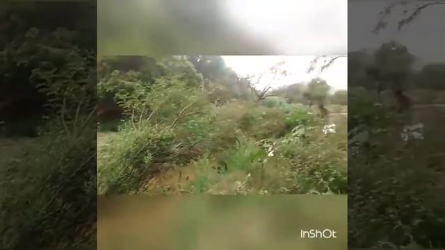 San Antonio Tecozautla Hidalgo смотреть онлайн