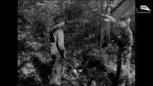 Любой ценой (1959)