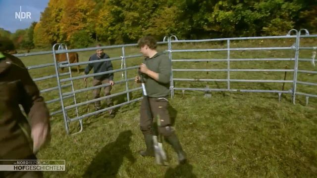 Die Tiere kommen in den Stall | Die Nordreportage: Hofgeschichten (202) | NDR смотреть онлайн