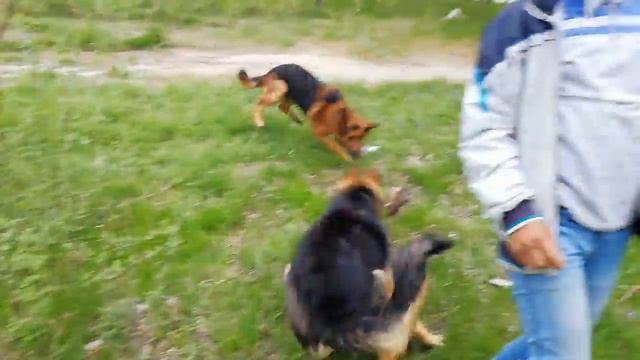 Ральф и Шах смотреть онлайн