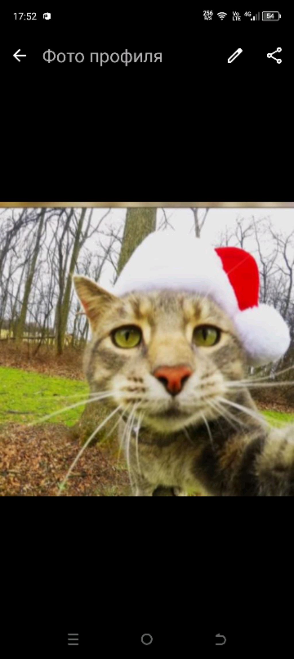 учимся квадратики