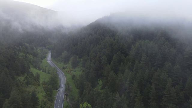 No Alone - Two.facedshit