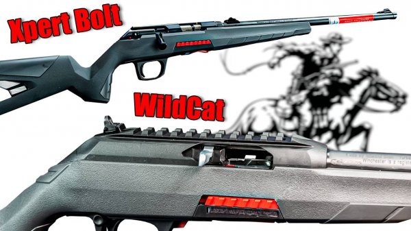 Обзор винтовок Winchester Wildcat .22 LR и Winchester Xpert Bolt-Action .22 LR