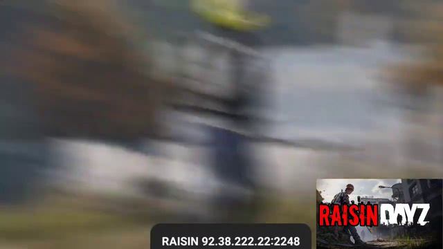 Чувство, когда нашёл для себя лучший сервер #dayz #dayzgameplay #raisin смотреть онлайн