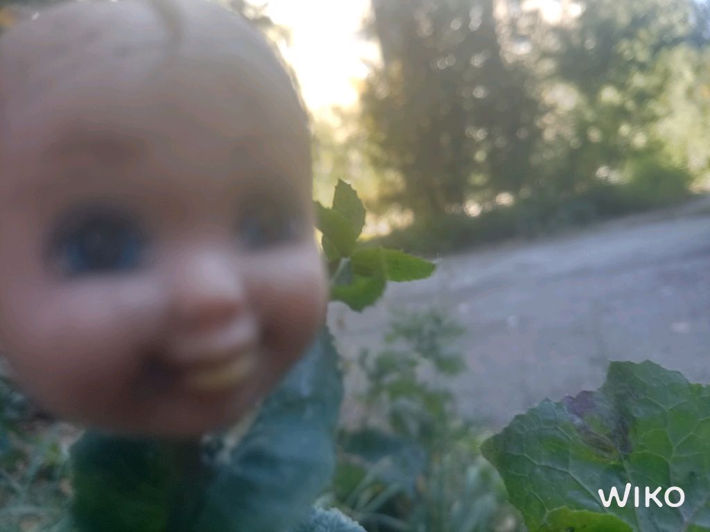 школа смотреть онлайн
