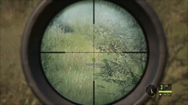 Hunting GIANT BUFFALO on the African Savanah - The Hunter Call of the Wild Gameplay смотреть онлайн