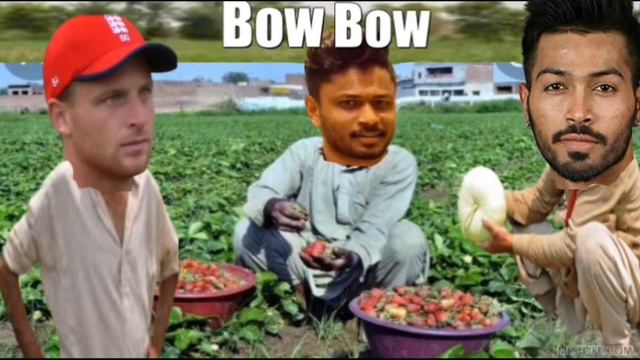 Tata ipl 2022 funny video Sanju Samsung Hardik Pandya Butler _ हंसी रोक नहीं पाओगे comedy смотреть онлайн