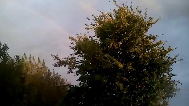 Погода в доме. Царева Людмила Ивановна