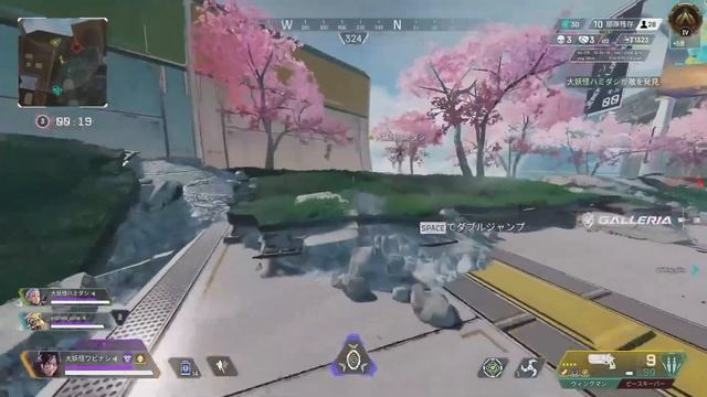 ランクで一人になっただるまが魅せた"高IQチャンピオン"【APEX/エーペックス】 смотреть онлайн