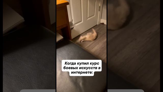 Мастер боевых искусств смотреть онлайн