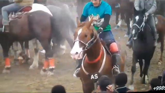Мирсодик полвон Киргизистон Искандар смотреть онлайн