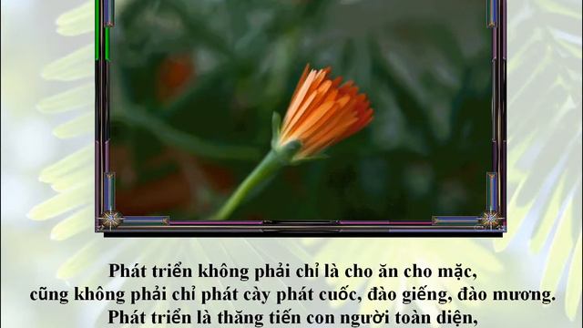 Danh Ngôn chủ đề "Đức Cố Hồng Y Nguyễn Văn Thuận" - Duy Hân sưu tầm thực hiện - Nhạc nền Lê Văn Kho смотреть онлайн