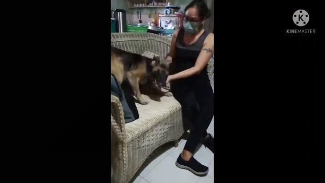#dods #love #doglover #petlover Na miss ako ni baby смотреть онлайн
