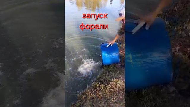 запуск форели смотреть онлайн