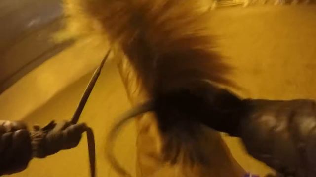 Horse jumping with Go Pro смотреть онлайн