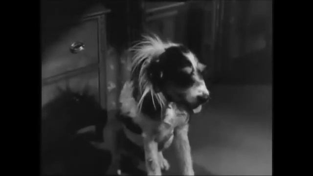 Linda Darnell (dubbed by Jeanne Darrell) - Rock-a-bye Baby смотреть онлайн