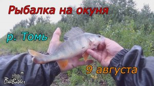 Рыбалка на окуня в августе на реке Томь