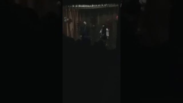Котики вербові смотреть онлайн