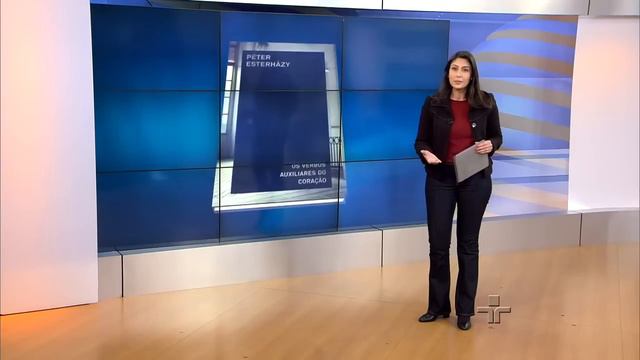 Dica de Leitura: Os Verbos Auxiliares do Coração смотреть онлайн