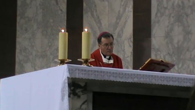 L' Azione Cattolica dei Marsi Incontra il Papa 3 смотреть онлайн
