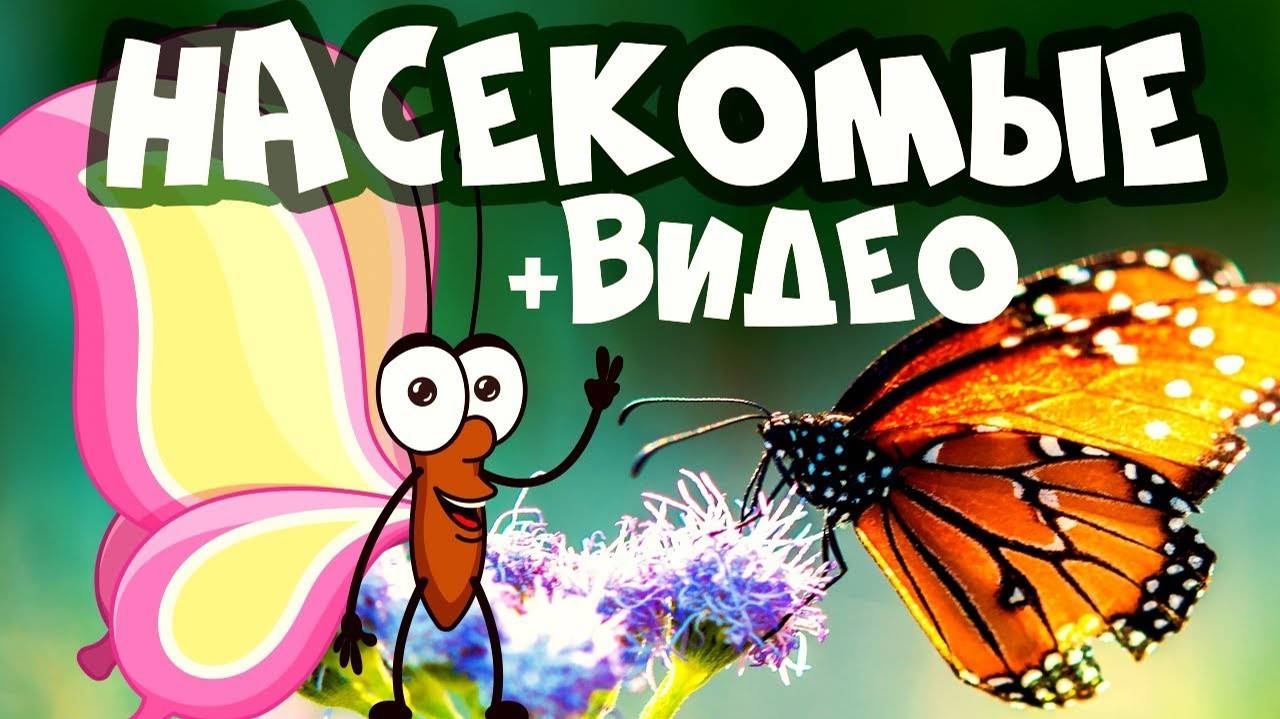 НАСЕКОМЫЕ для детей - развивающие мультики про животных смотреть онлайн