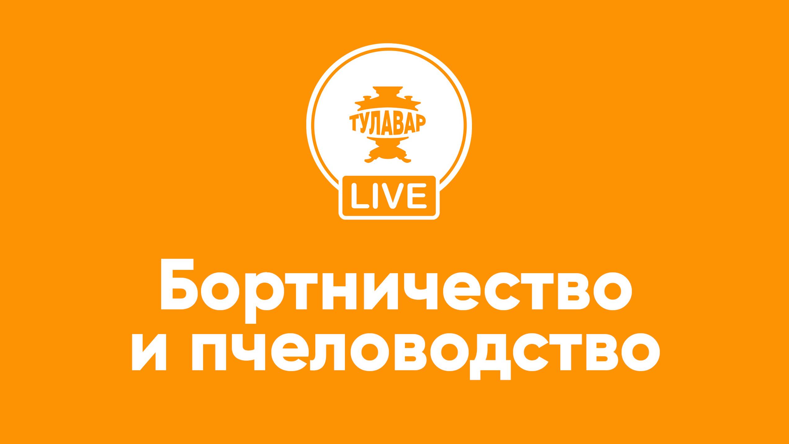 Прямой эфир Тулавар: Бортничество и пчеловодство на Руси смотреть онлайн