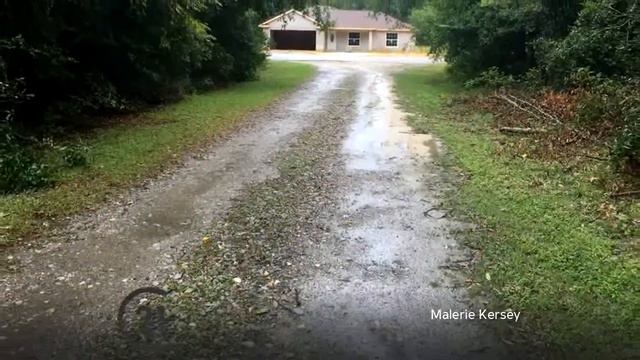 Lots And Land for sale - 1043 N Beatrice Terrace, Inverness, FL 34453 смотреть онлайн