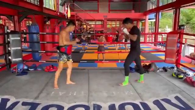 ОБУЧАЛОЧКА СУПЕРБОНА | THE SUPERBON TUTORIAL